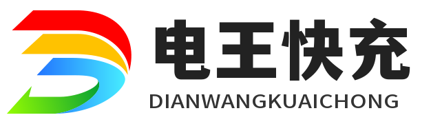 深圳市电王快充技术服务有限公司